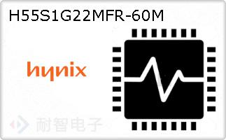 H55S1G22MFR-60M