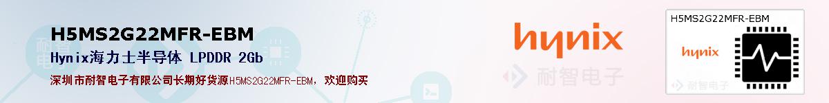 H5MS2G22MFR-EBMıۺͼ