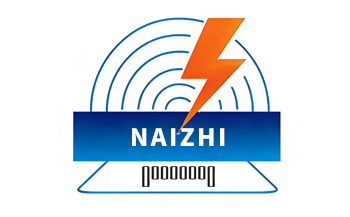 ����ʿ�ڴ�оƬ