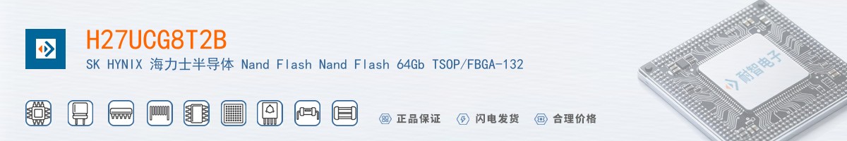 H27UCG8T2B������