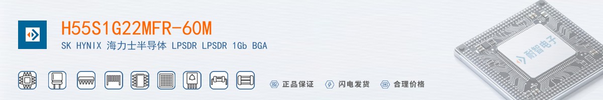 H55S1G22MFR-60M������