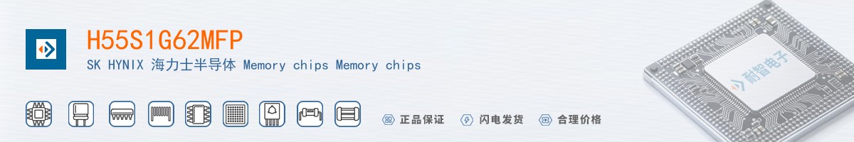 H55S1G62MFP������
