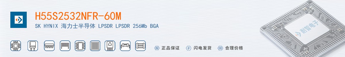 H55S2532NFR-60M������