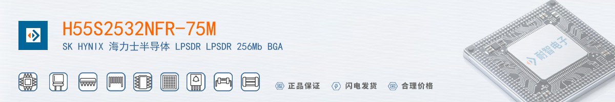 H55S2532NFR-75M������