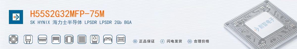 H55S2G32MFP-75M������