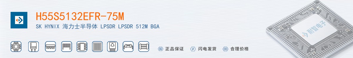 H55S5132EFR-75M������