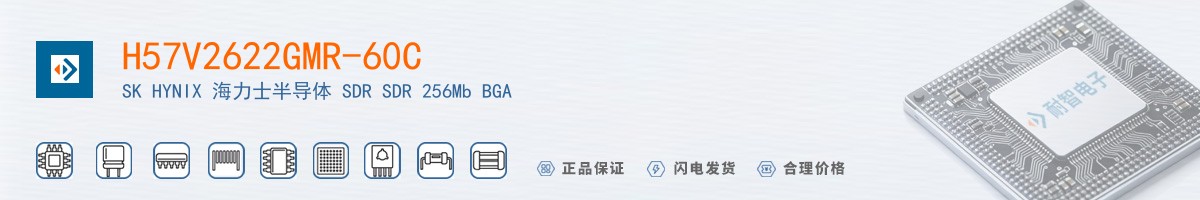 H57V2622GMR-60C������