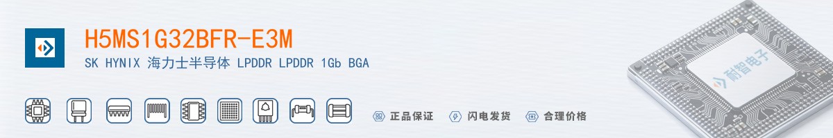 H5MS1G32BFR-E3M������