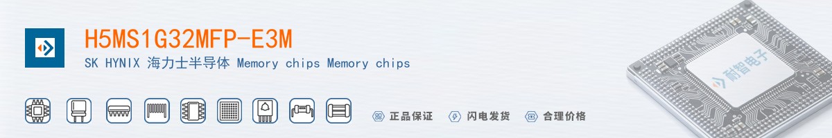 H5MS1G32MFP-E3M������