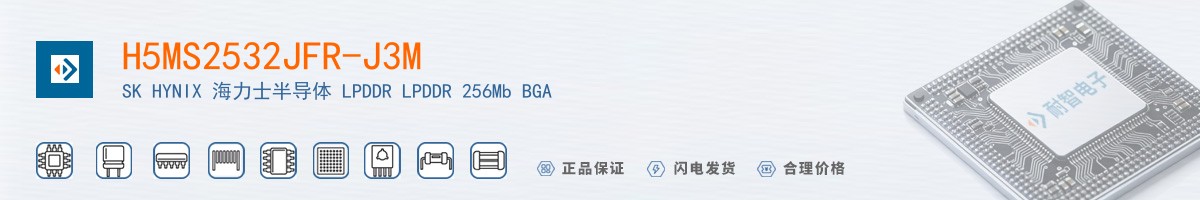 H5MS2532JFR-J3M������