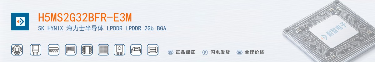 H5MS2G32BFR-E3M������