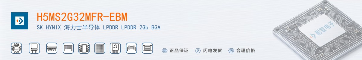 H5MS2G32MFR-EBM������