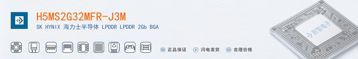 H5MS2G32MFR-J3M������