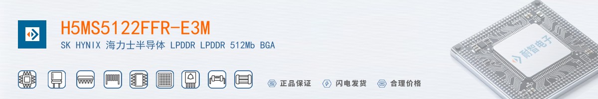 H5MS5122FFR-E3M������