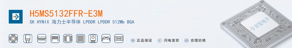 H5MS5132FFR-E3M������