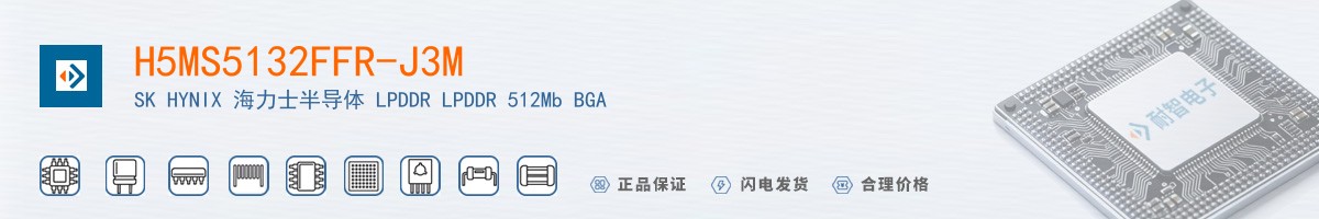H5MS5132FFR-J3M������