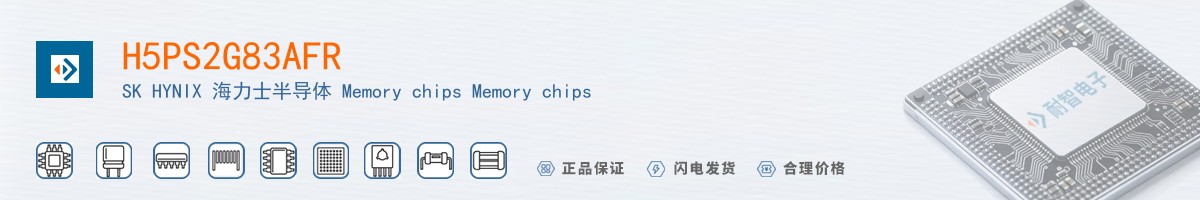 H5PS2G83AFR������