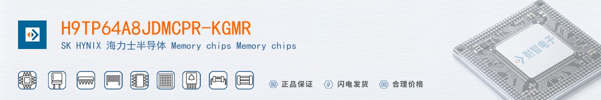 H9TP64A8JDMCPR-KGMR������