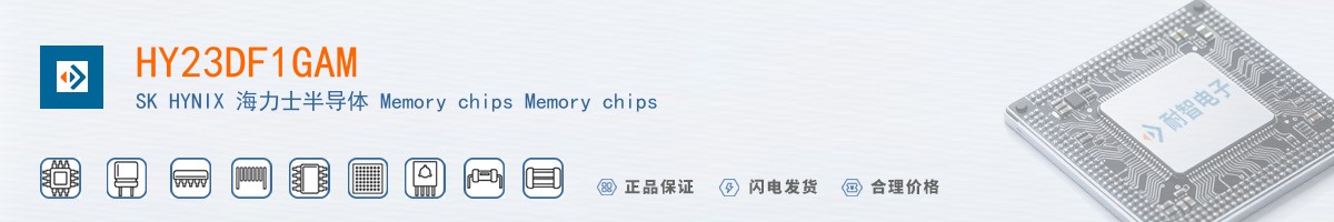 HY23DF1GAM������