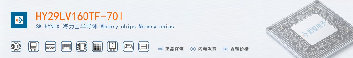 HY29LV160TF-70I������