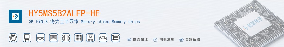 HY5MS5B2ALFP-HE������