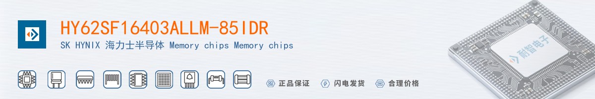 HY62SF16403ALLM-85IDR������