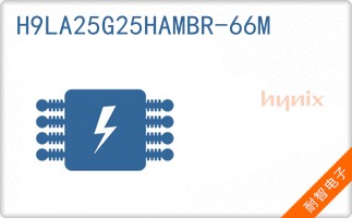 H9LA25G25HAMBR-66M