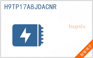 H9TP17A8JDACNR
