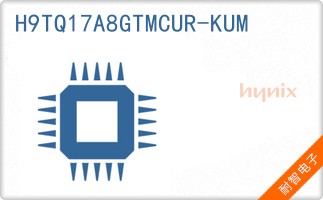 H9TQ17A8GTMCUR-KUM